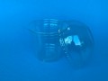 Креманка прозрачная 200мл PET d-78мм с купольной крышкой с/без отверстия